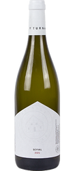 Seyval Blanc